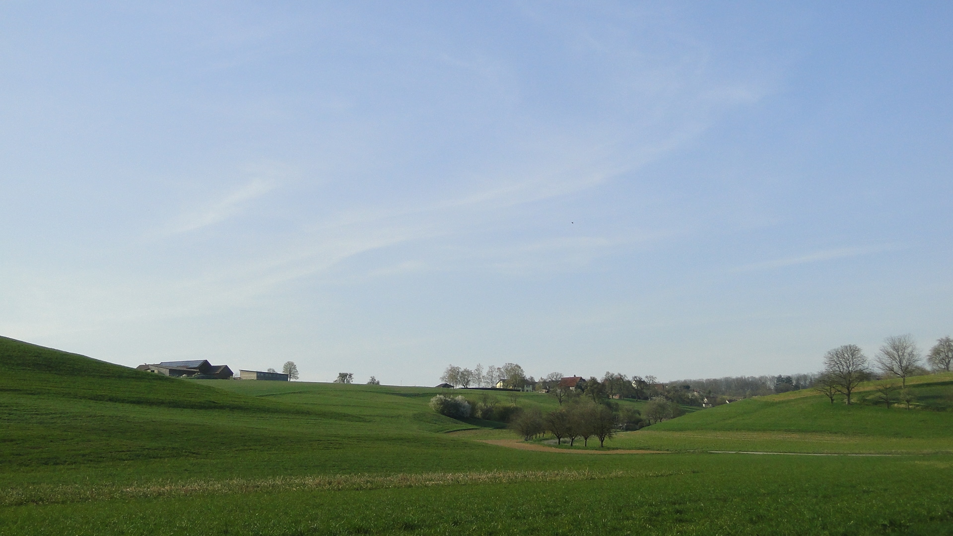 Grasshügel vor Eichach